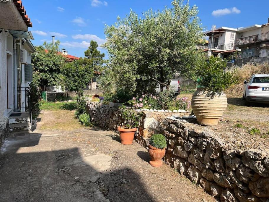 Guesthouse Simou With View 3 Bedrooms Arachova Exteriör bild